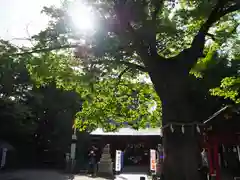 新田神社の自然