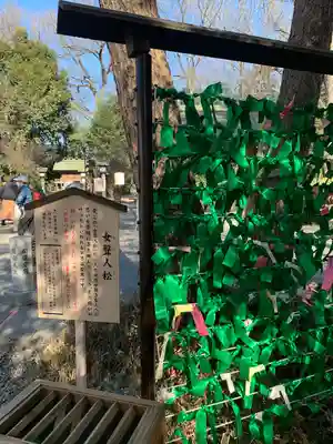 櫻木神社のその他建物