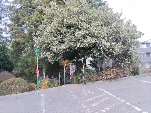 平出雷電神社の景色