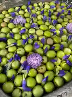 廣田神社~病厄除守護神~(青森県)