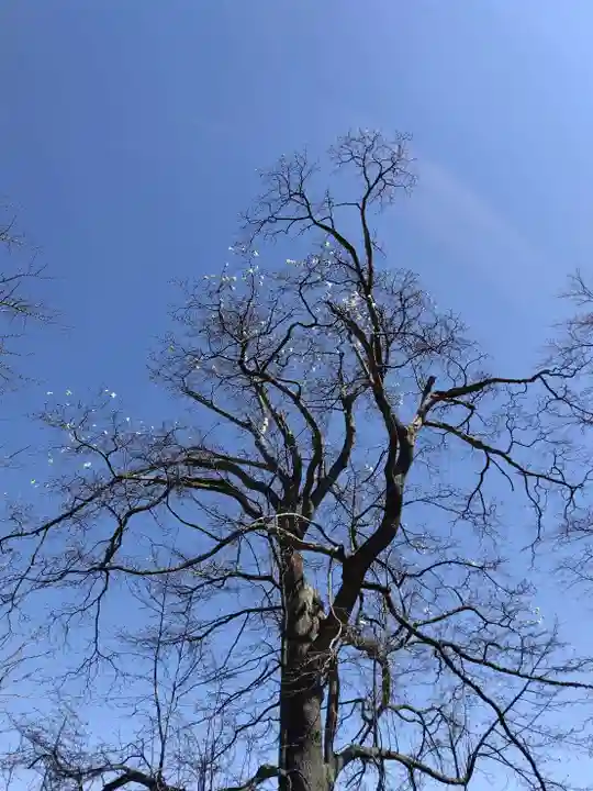 厚別神社(北海道)