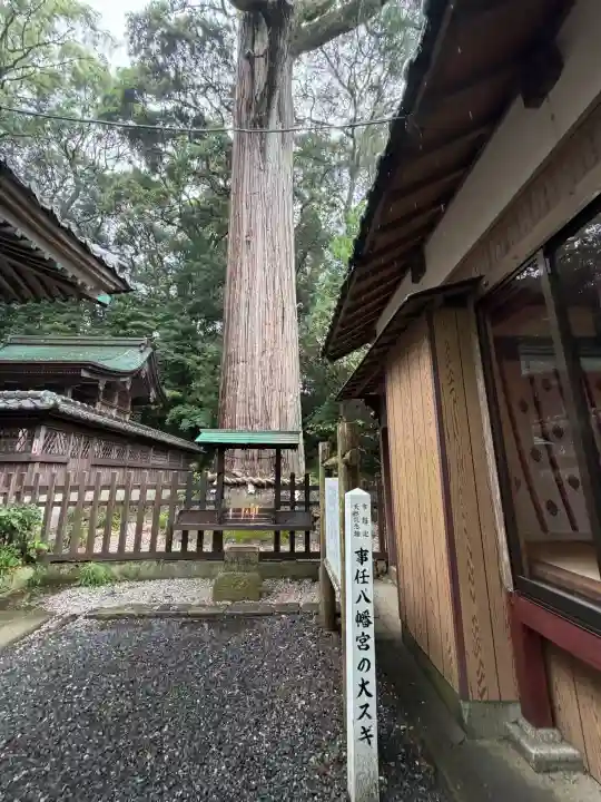 事任八幡宮(静岡県)
