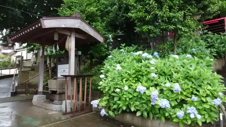 春日神社の手水舎
