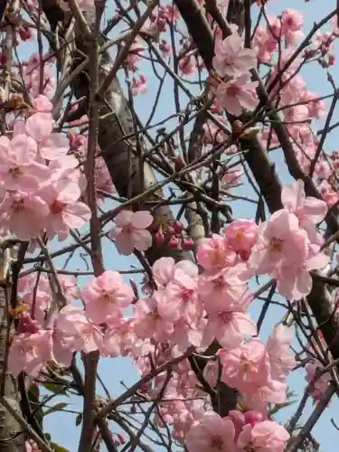 石内のお大師さん　金剛院の自然