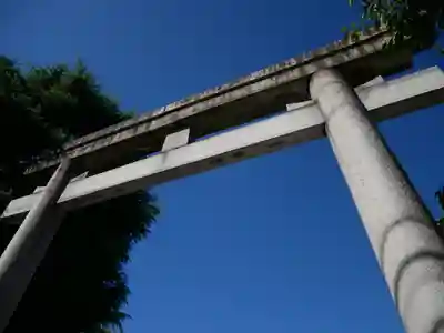 玉姫稲荷神社の鳥居