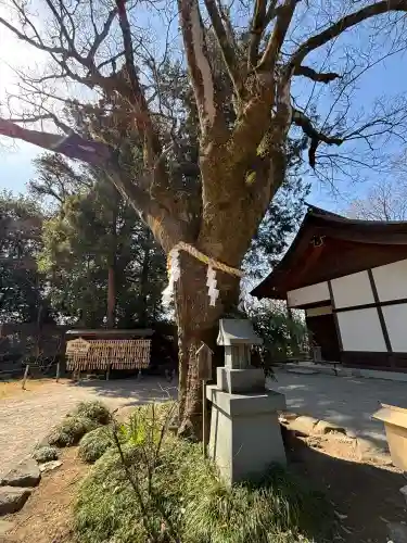 武田神社の{uncategorized: "未分類", other: "その他", undefined: "問題あり", building: "その他建物", grave: "お墓", sacred_gate: "鳥居", guardian: "狛犬", statue: "像", buddha: "仏像", history: "歴史", nature: "自然", garden: "庭園", animal: "動物", pagoda: "塔", temizu: "手水舎", mountain_gate: "山門・神門", sanctuary: "本殿・本堂", subordinate: "末社・摂社", art: "芸術", scenery: "景色", jizo: "地蔵", ema: "絵馬", goshuin: "御朱印", omikuji: "おみくじ", items: "授与品その他", amulet: "お守り", goshuincho: "御朱印帳", eats: "食事", festival: "お祭り", votive_dance: "神楽", shichigosan: "七五三参", wedding: "結婚式", experience: "体験その他", initially: "初詣", around: "周辺", anti_infection: "感染症対策"}