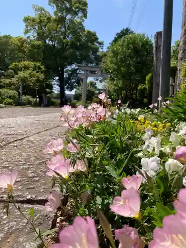 尾曳稲荷神社の自然