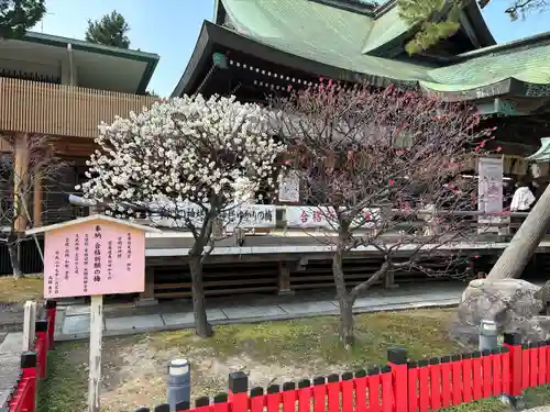 白山神社の自然