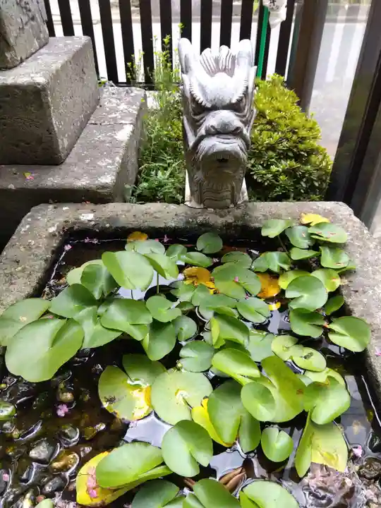 常休寺(福井県)