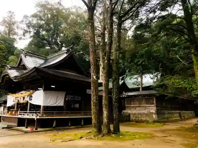 西寒多神社の本殿・本堂