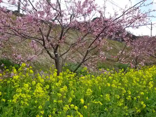 かっぱの寺 栖足寺の自然