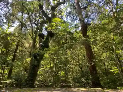 伊勢神宮内宮（皇大神宮）(三重県)