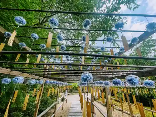 正寿院(京都府)