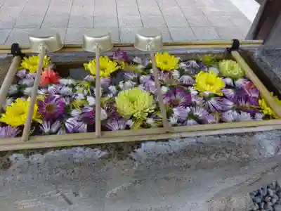 日蓮宗 浄運寺の手水舎