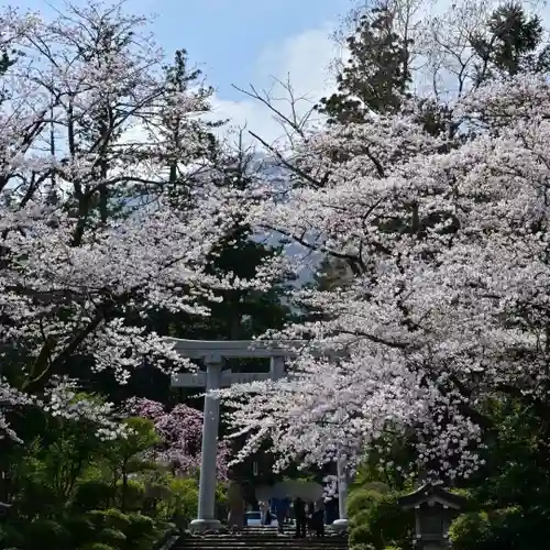 彌彦神社(新潟県)