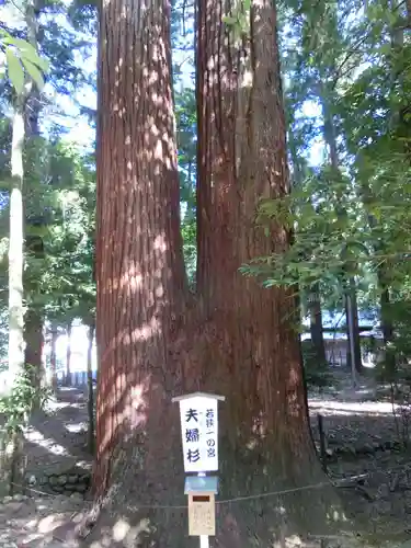 若狭彦神社（上社）の建物その他