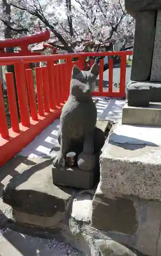 東郷神社の狛犬