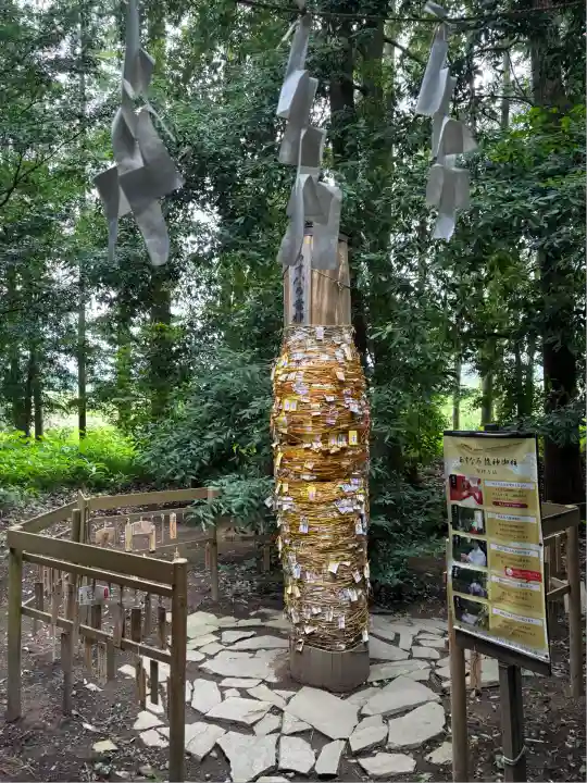 下野 星宮神社(栃木県)