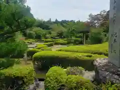 大池寺の庭園