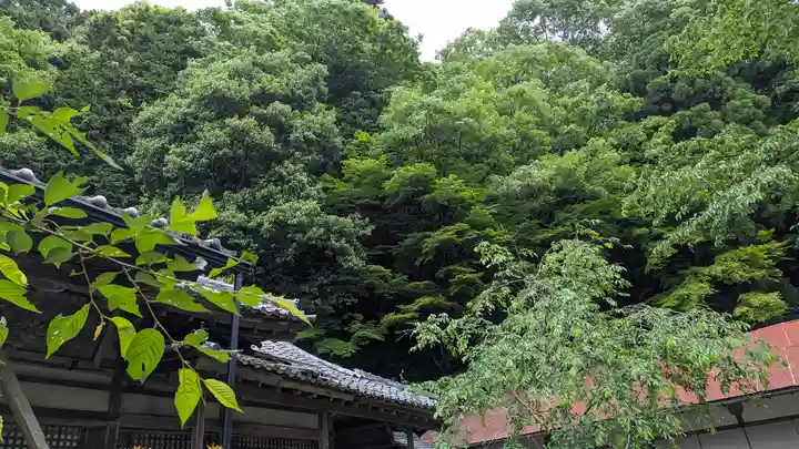 法嚴寺(法厳寺)(京都府)