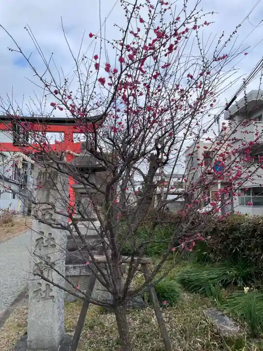 五社神社(京都府)