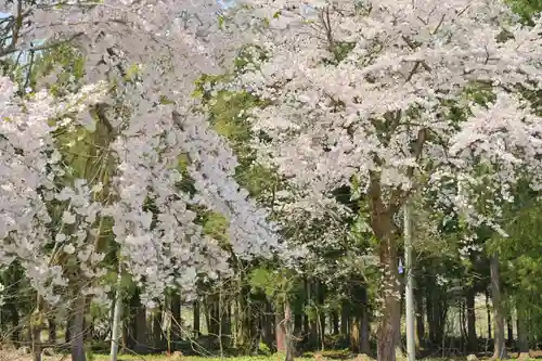 妙高寺(新潟県)