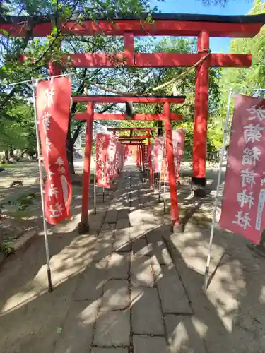 於菊稲荷神社の鳥居