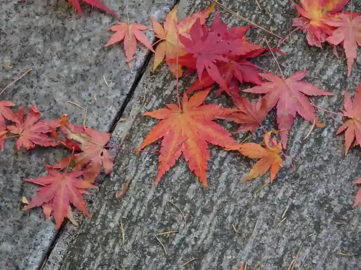 白根神社の自然