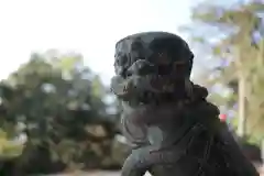 諏訪神社の狛犬