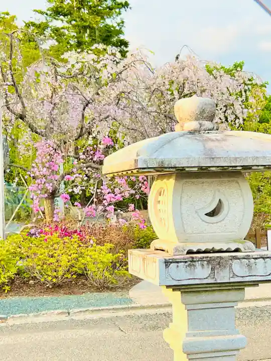 日限地蔵尊 観音院の{uncategorized: "未分類", other: "その他", undefined: "問題あり", building: "その他建物", grave: "お墓", sacred_gate: "鳥居", guardian: "狛犬", statue: "像", buddha: "仏像", history: "歴史", nature: "自然", garden: "庭園", animal: "動物", pagoda: "塔", temizu: "手水舎", mountain_gate: "山門・神門", sanctuary: "本殿・本堂", subordinate: "末社・摂社", art: "芸術", scenery: "景色", jizo: "地蔵", ema: "絵馬", goshuin: "御朱印", omikuji: "おみくじ", items: "授与品その他", amulet: "お守り", goshuincho: "御朱印帳", eats: "食事", festival: "お祭り", votive_dance: "神楽", shichigosan: "七五三参", wedding: "結婚式", experience: "体験その他", initially: "初詣", around: "周辺", anti_infection: "感染症対策"}