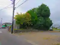 愛宕社(勝川町)の自然