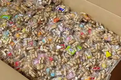 成田山大照寺(北海道)