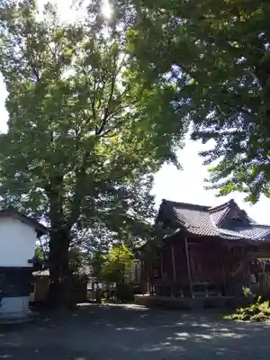 神明神社（上総社）の本殿・本堂