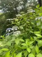 三毳神社(奥宮)(栃木県)