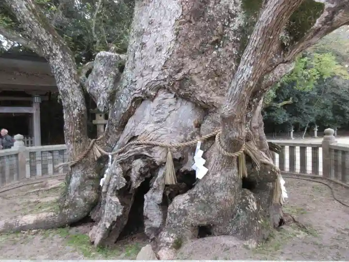 大山祇神社(愛媛県)