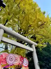 札幌諏訪神社の鳥居