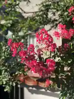 木舟山 順教寺(広島県)