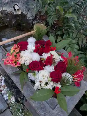 本郷氷川神社(東京都)