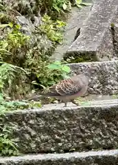 宝山寺(奈良県)