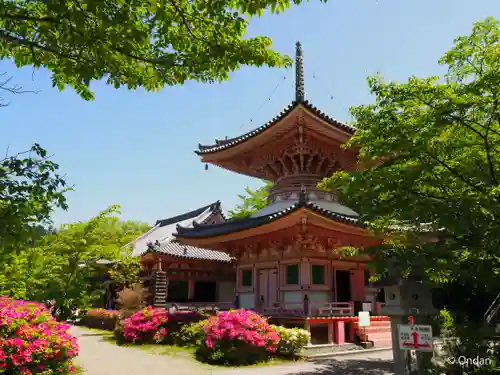 南法華寺（壷阪寺）(奈良県)