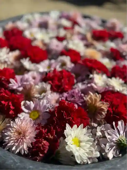 埼玉厄除け開運大師・龍泉寺(切り絵御朱印発祥の寺)(埼玉県)