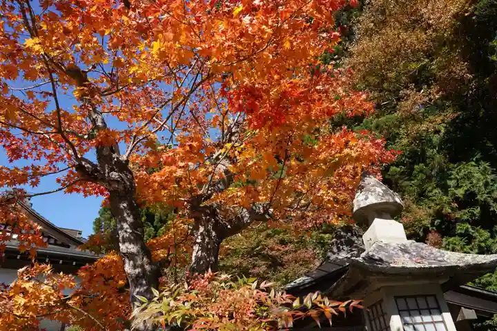 鹿島大神宮の自然