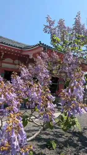 津観音の{uncategorized: "未分類", other: "その他", undefined: "問題あり", building: "その他建物", grave: "お墓", sacred_gate: "鳥居", guardian: "狛犬", statue: "像", buddha: "仏像", history: "歴史", nature: "自然", garden: "庭園", animal: "動物", pagoda: "塔", temizu: "手水舎", mountain_gate: "山門・神門", sanctuary: "本殿・本堂", subordinate: "末社・摂社", art: "芸術", scenery: "景色", jizo: "地蔵", ema: "絵馬", goshuin: "御朱印", omikuji: "おみくじ", items: "授与品その他", amulet: "お守り", goshuincho: "御朱印帳", eats: "食事", festival: "お祭り", votive_dance: "神楽", shichigosan: "七五三参", wedding: "結婚式", experience: "体験その他", initially: "初詣", around: "周辺", anti_infection: "感染症対策"}