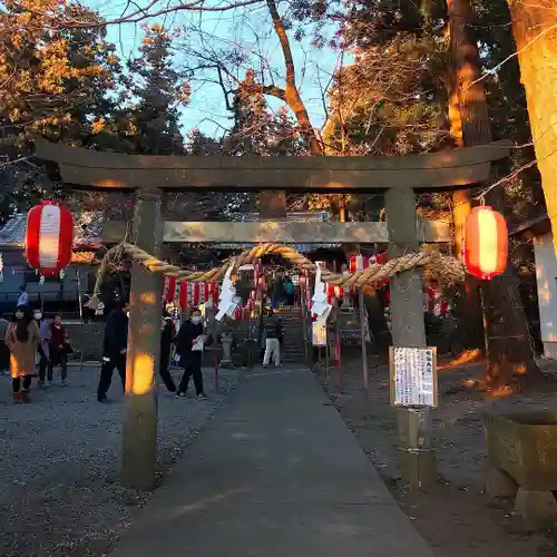 下野 星宮神社の鳥居