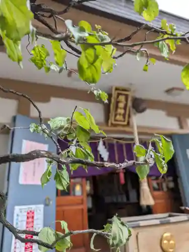 穏田神社(東京都)