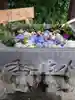 於菊稲荷神社の手水舎
