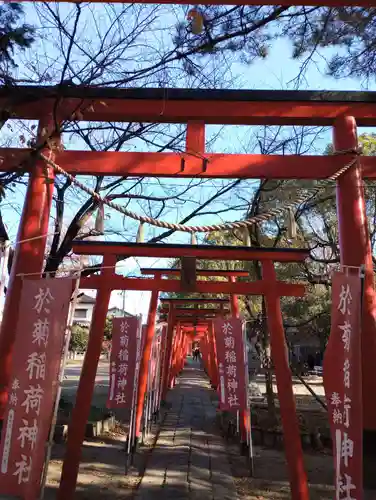 於菊稲荷神社の鳥居