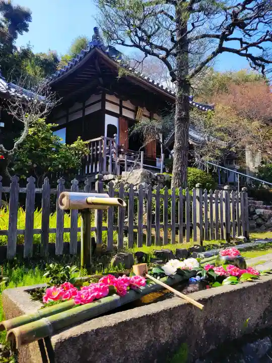 二尊院の{uncategorized: "未分類", other: "その他", undefined: "問題あり", building: "その他建物", grave: "お墓", sacred_gate: "鳥居", guardian: "狛犬", statue: "像", buddha: "仏像", history: "歴史", nature: "自然", garden: "庭園", animal: "動物", pagoda: "塔", temizu: "手水舎", mountain_gate: "山門・神門", sanctuary: "本殿・本堂", subordinate: "末社・摂社", art: "芸術", scenery: "景色", jizo: "地蔵", ema: "絵馬", goshuin: "御朱印", omikuji: "おみくじ", items: "授与品その他", amulet: "お守り", goshuincho: "御朱印帳", eats: "食事", festival: "お祭り", votive_dance: "神楽", shichigosan: "七五三参", wedding: "結婚式", experience: "体験その他", initially: "初詣", around: "周辺", anti_infection: "感染症対策"}