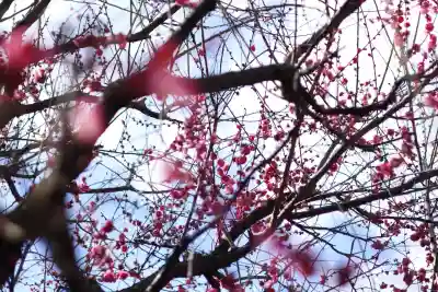 大國魂神社(東京都)