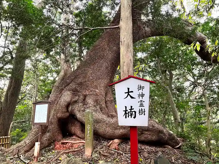 住吉神社(山口県)